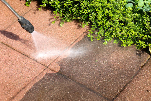 Best Best Pressure Washing Companies  in Cottonwood Shores, TX